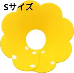 Item thumbnail for item 01323b74-acb0-4f4a-a5ef-78e842a5c057