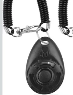 Item thumbnail for item ddf6ca13-7d4a-4dcf-8736-01b9e8702803