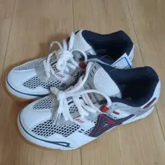 Item thumbnail for item e0ac44b5-8137-49b3-a64a-c683fd65fbc8