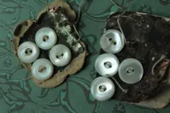 Item thumbnail for item eb063151-f98a-4e73-85c8-7347f269b89a