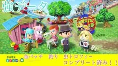 【やり込みデータ】とびだせどうぶつの森　とび森　3DS 最強データ