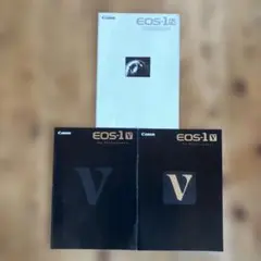 Item thumbnail for item b6c5fdef-53ee-4747-929f-0c0a7973f136