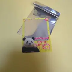 Item thumbnail for item cf492ad3-82ea-4a21-87eb-f15ceb969807