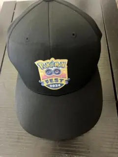 ポケモンGO FEST2024仙台　限定パーカーＬサイズ　新品未使用品 ポケモンGO fest 2024 仙台 パーカー Lサイズ - メルカリ