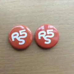 ライジングサン2025 RIPSLYME バッジ　2個
