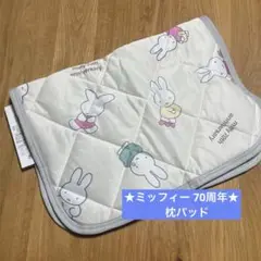 ★ ミッフィー ナインチェ 70周年 ☆ 冷感枕パッド 43×63cm