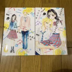 ハニーレモンソーダ 25 26