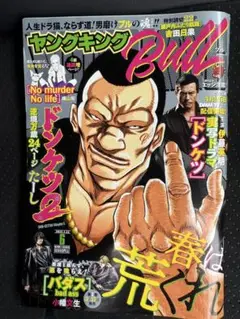 ヤングキングbull 2025/6号 ドンケツ2