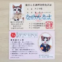 なめんなよ　大写真館　初版 2025年最新】なめんなよ 写真集の人気アイテム - メルカリ