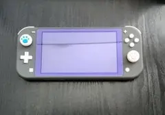 Nintendo Switch Lite グレー 本体