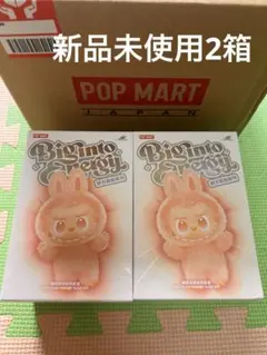 【正規品・未開封】Labubu Big into Energy 2箱