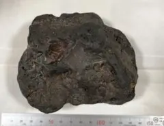 鉄隕石?磁石が付く石!800g