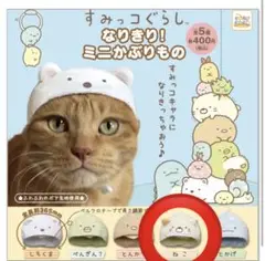 Item thumbnail for item 161b25df-07b0-419c-b179-21d62952c17c