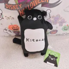 希少　レア　Kitaca　ぬいぐるみ　マスコット　キーチェーン 61i-B29OE2L._UF894,1000_QL80_.jpg
