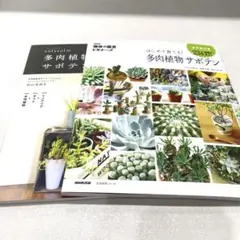 NHK「趣味の園芸ビギナーズ」 /sol×solの多肉植物・サボテン　セット