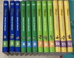ステップバイステップDVD24枚 DisneyWorld of English