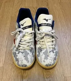 Mizuno Monarcida Neo 25.0cm
