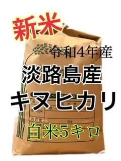 令和4年産 キヌヒカリ 新米 白米 5キロ 淡路島産 5kg