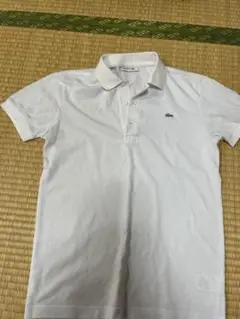 LACOSTE ホワイト ポロシャツ サイズ2