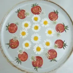 押し花　ミニトマト10枚セット