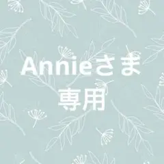Annieさま専用