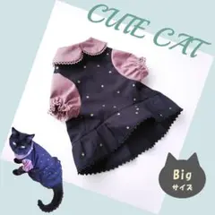 Item thumbnail for item 6154ccc7-a6ab-43d0-bf82-d3574862360a