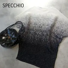 美品 スペッチオ プリーツカットソー プルオーバー グラデーション L