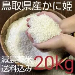 《新米》鳥取県産 きぬむすめ 令和4年産 お米 20キロ