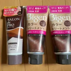 ビゲン カラートリートメント ナチュラルブラウン