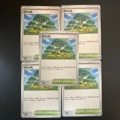 活力の森 5枚セット