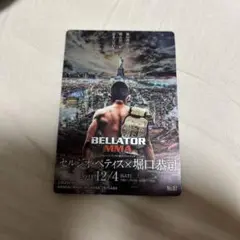 RIZINカード No.07