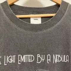 ANME 顔料 プリント tシャツ