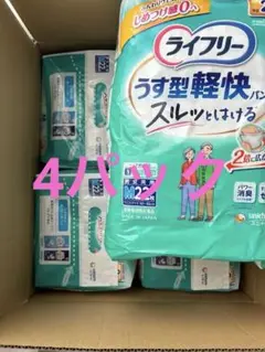 Item thumbnail for item 5d506069-0139-43bc-a151-f1d0e98fe1fa