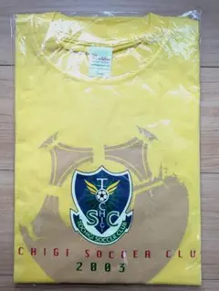【新品・未開封】栃木SC Tシャツ 2003 Lサイズ