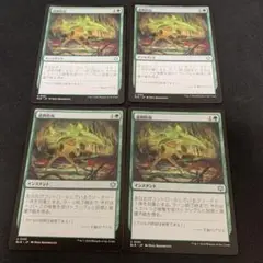 過剰防衛　mtg 4枚