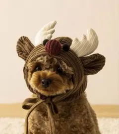 Item thumbnail for item b0b7f758-2322-42ab-ac9f-8411dc5ffc25