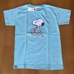 Item thumbnail for item 2168d134-71fe-4a37-829e-276457136aae