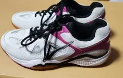 バドミントンシューズ VISION QUEST 24.5㎝