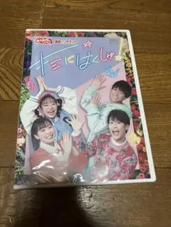 ☆CHAKI☆様 新品 キミにはくしゅ DVD 日焼けあり