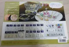 レジン　アクセサリースペシャルボックス