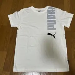 PUMA ホワイト Tシャツ 160サイズ