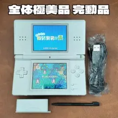 全体極美品 完動品 ニンテンドーDS Lite ホワイト 本体 新品付属品