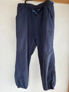 Item thumbnail for item 376ddf70-5f06-4753-9c29-8da25f590987