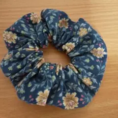 シュシュ