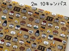2m　コットンこばやし　キャラネコ　猫　10キャンバス　マスタード　281