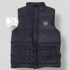 Item thumbnail for item 238259a6-b12b-4cf0-b513-c27f175e0175