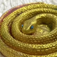 Item thumbnail for item 55eddcc6-31c8-4c4e-b5f2-a02db3ce9d0c