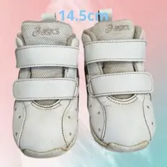 Item thumbnail for item 7ccc2e53-7e78-4a50-abac-b61a7b928ee6