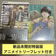 アンチロマンス 2 特装版 アニメイトリーフレット付き 日高ショーコ