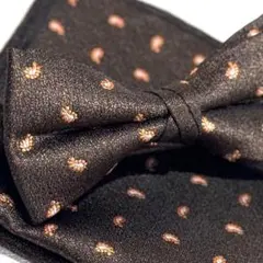 Item thumbnail for item 9565f747-04c5-4503-84ed-475782e05329